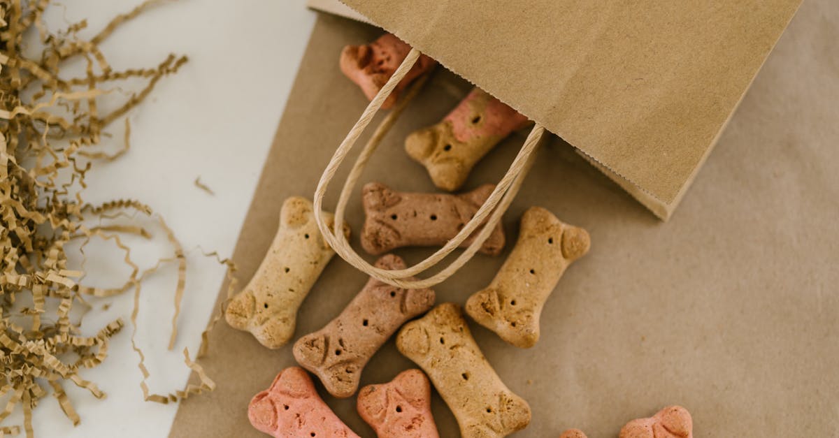 Colorful bone-shaped dog treats spill from a paper bag labeled 'thank you'.